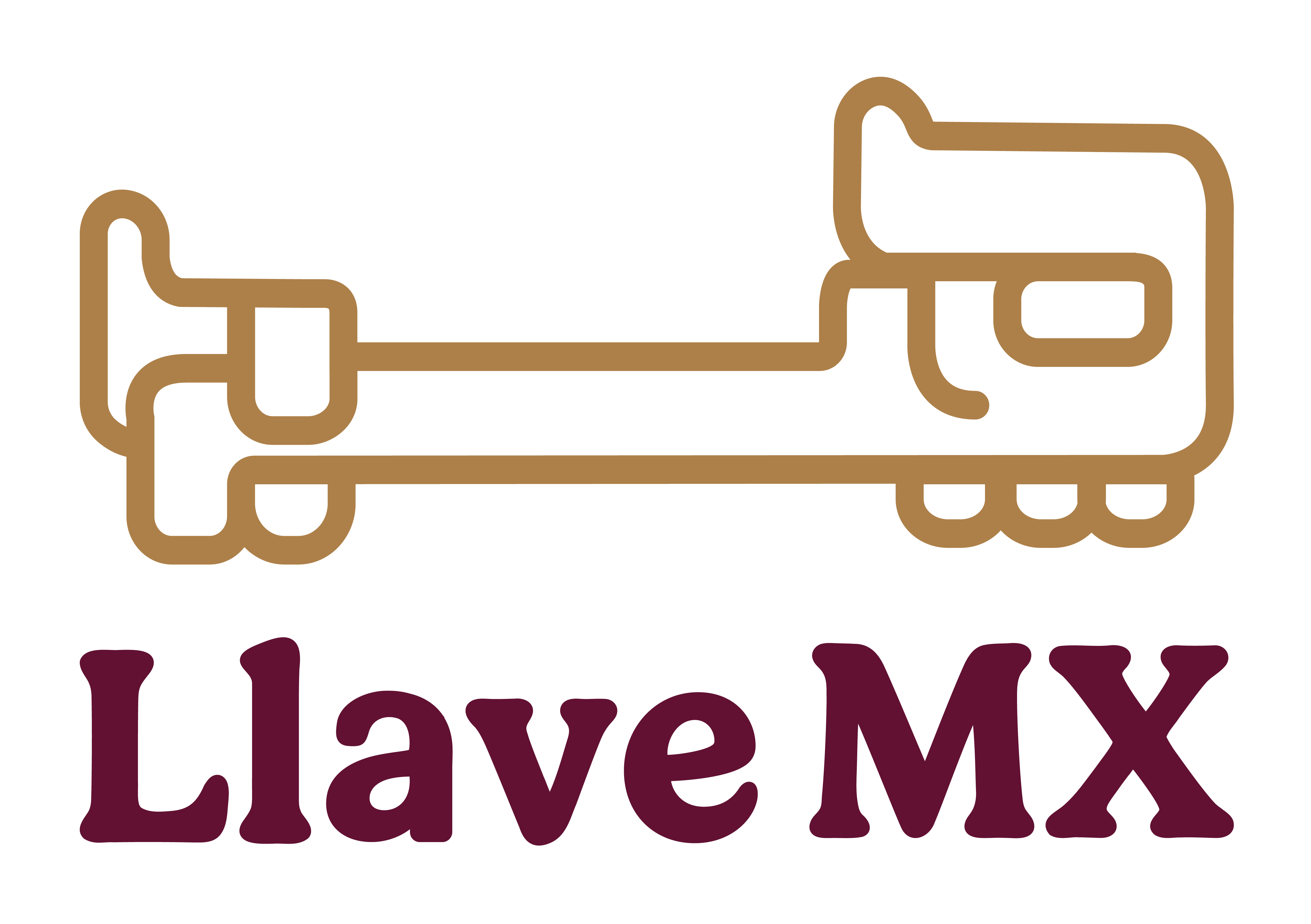 Logo LlaveMX